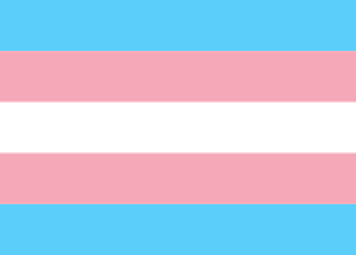 变性人的旗帜