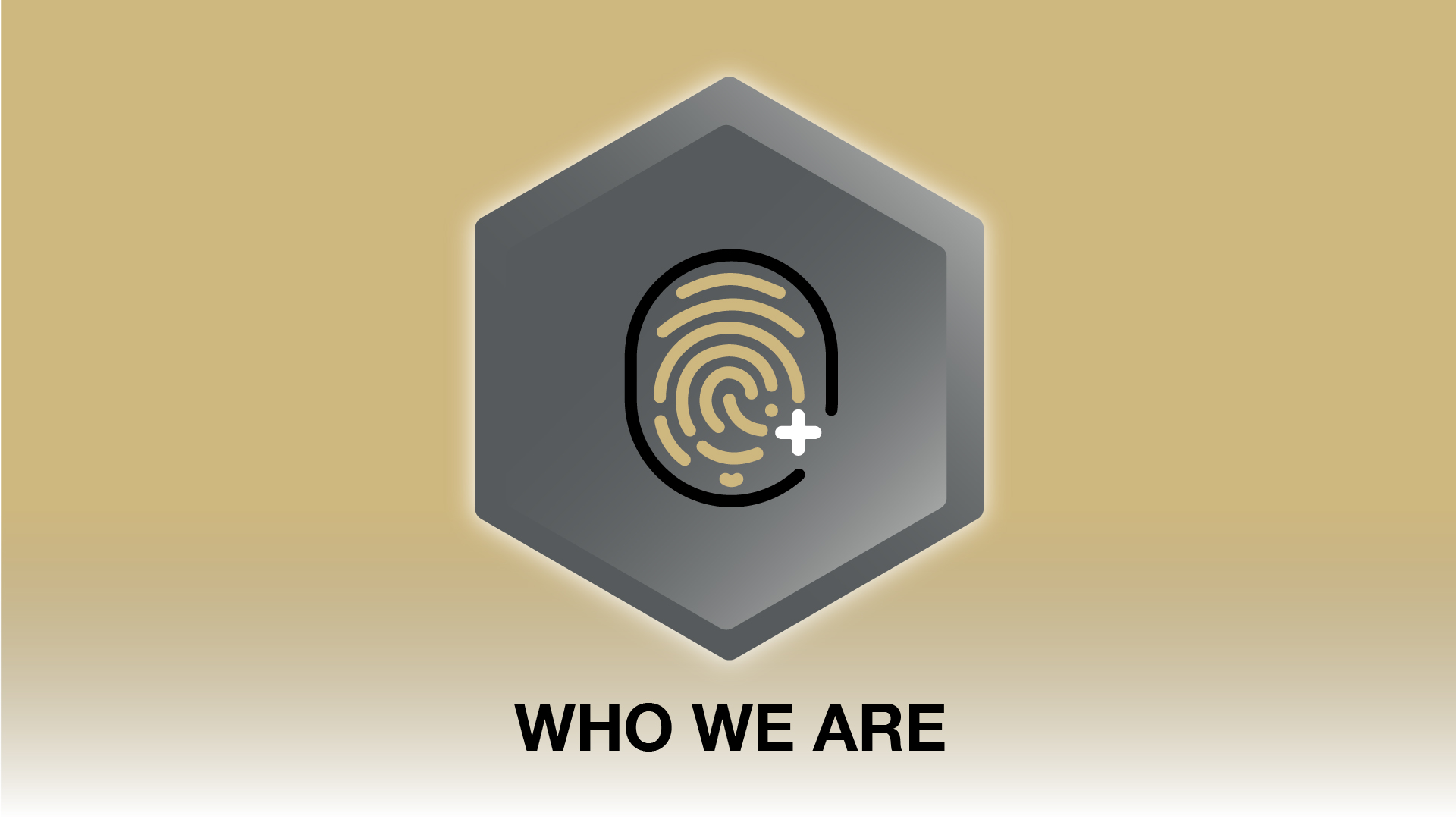 我们是谁
