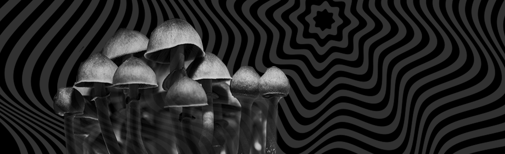 蘑菇在黑色和灰色之字形背景
